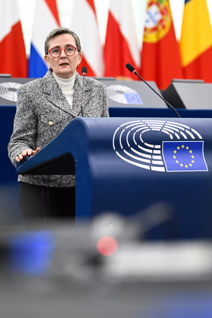 Foto 39: EP Plenary session - Presentation of the New European Internal Security Strategy