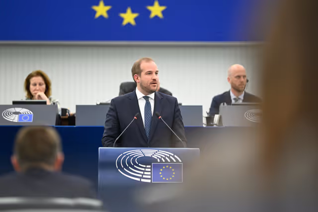 Foto 31: EP Plenary session - Presentation of the New European Internal Security Strategy