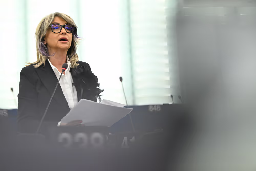 EP Plenary session - Presentation of the New European Internal Security Strategy