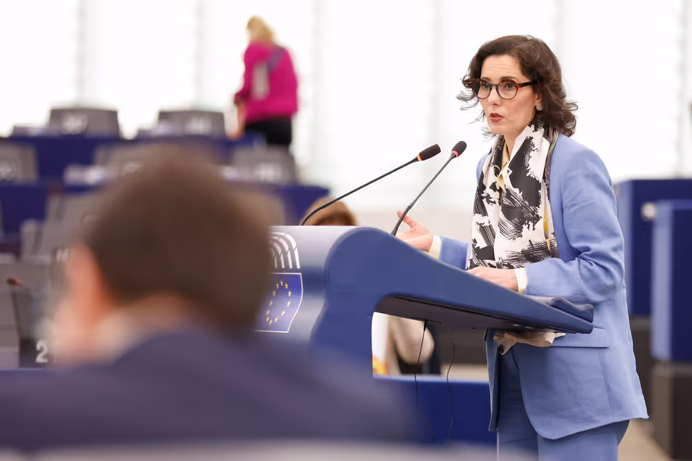 EP Plenary session - EU Preparedness Union Strategy