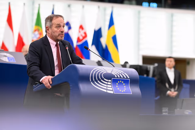 Fotografie 13: EP Plenary session - Targeted attacks against Christians in the Democratic Republic of the Congo – defending religious freedom and security