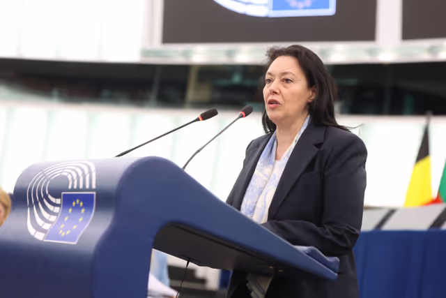 EP Plenary session - Human rights and democracy in the world and the European Union’s policy on the matter – annual report 2024