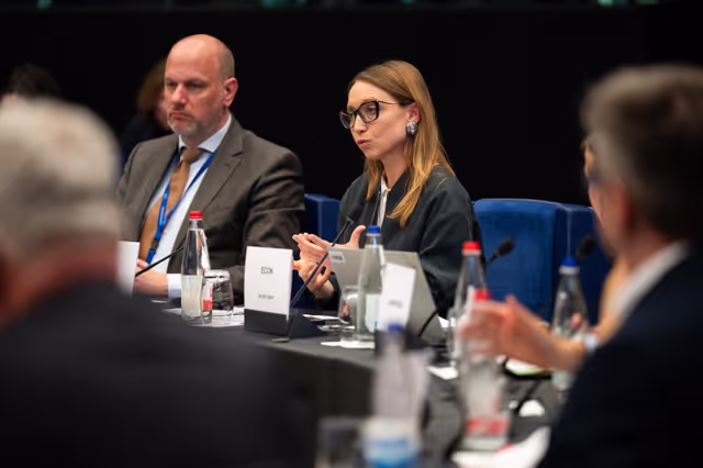 Fotagrafa 17: Conference of Committee Chairs (CCC)