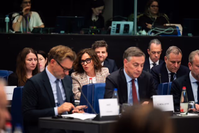 Fotagrafa 15: Conference of Committee Chairs (CCC)