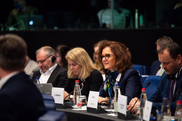 Fotagrafa 14: Conference of Committee Chairs (CCC)