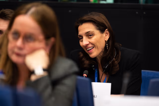 Fotagrafa 3: Conference of Committee Chairs (CCC)