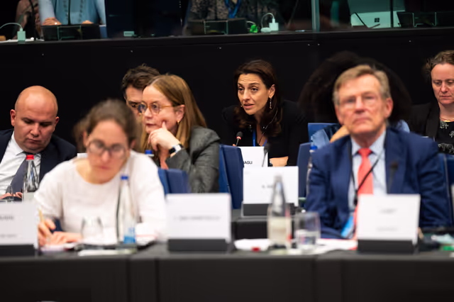 Fotagrafa 4: Conference of Committee Chairs (CCC)