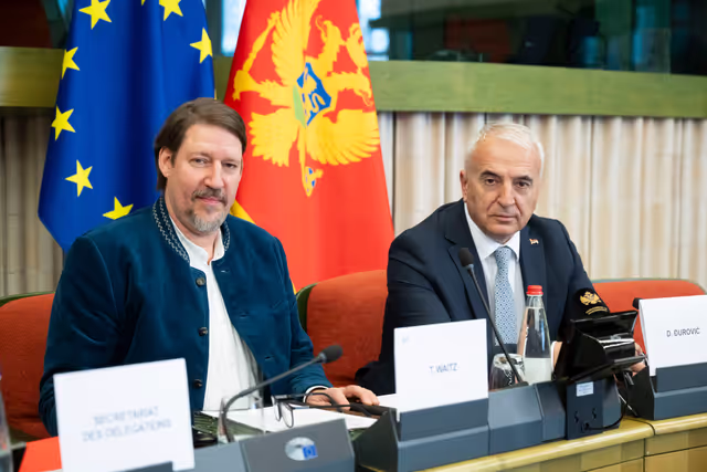 Foto 31: 23rd EU-Montenegro SAPC meeting