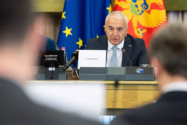 Foto 20: 23rd EU-Montenegro SAPC meeting