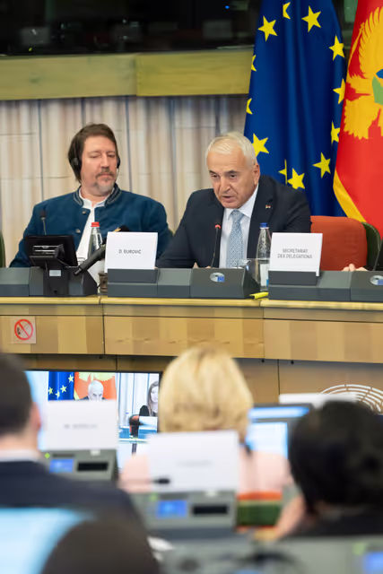 Foto 18: 23rd EU-Montenegro SAPC meeting