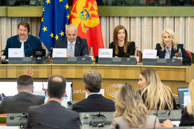 Foto 14: 23rd EU-Montenegro SAPC meeting