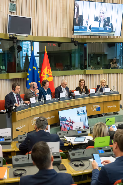 Foto 10: 23rd EU-Montenegro SAPC meeting