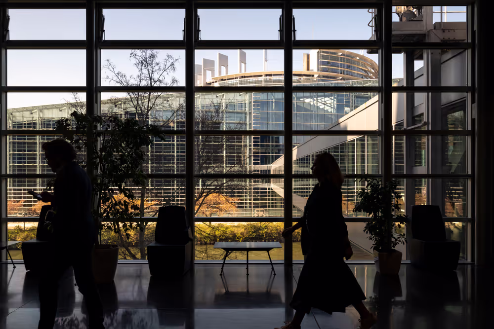 Strasbourg's Plenary session through the lens - Week 14