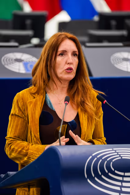 Fotografie 45: EP Plenary session - European steel and metals action plan