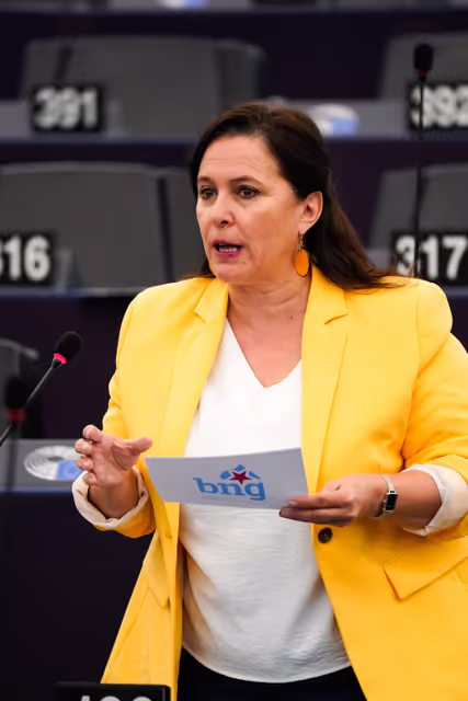 Fotografie 5: EP Plenary session - European steel and metals action plan