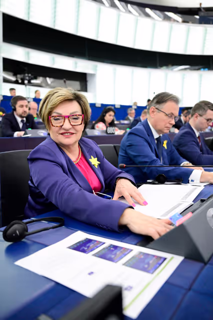 Suriet 37: EP Plenary session - Voting session