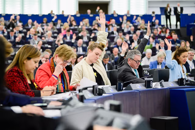 Suriet 24: EP Plenary session - Voting session