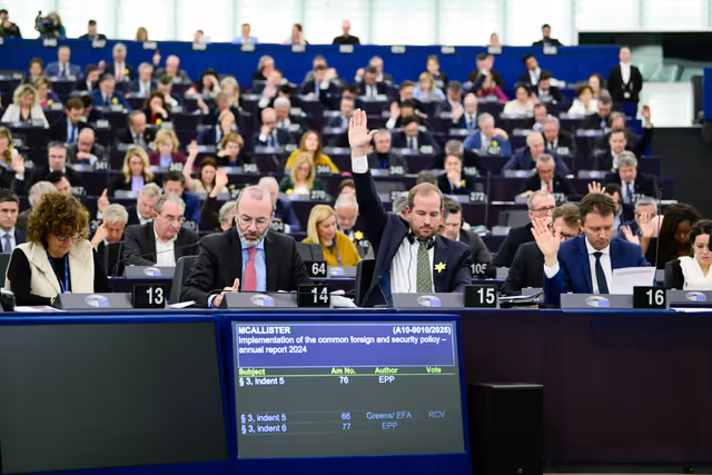 Suriet 25: EP Plenary session - Voting session