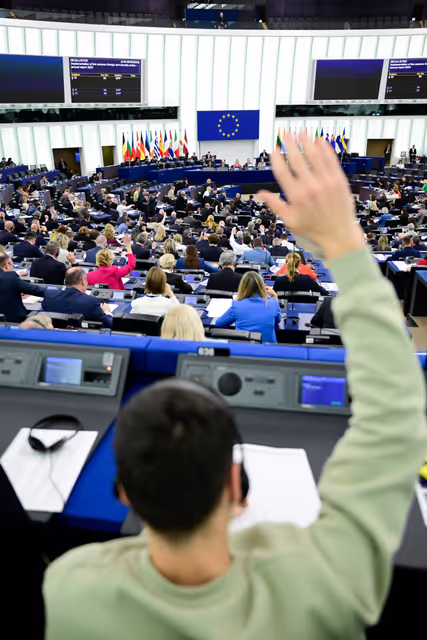 Suriet 20: EP Plenary session - Voting session