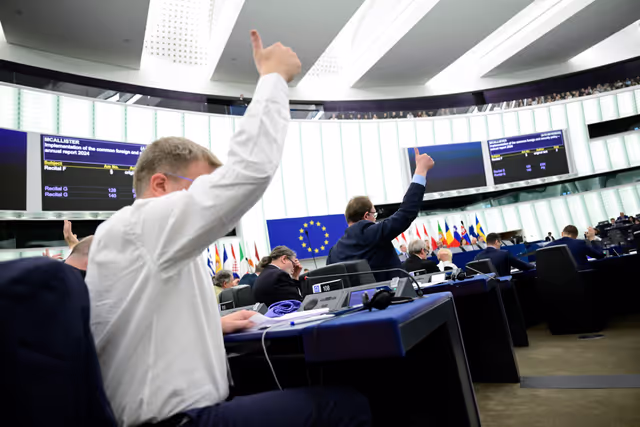 Suriet 9: EP Plenary session - Voting session