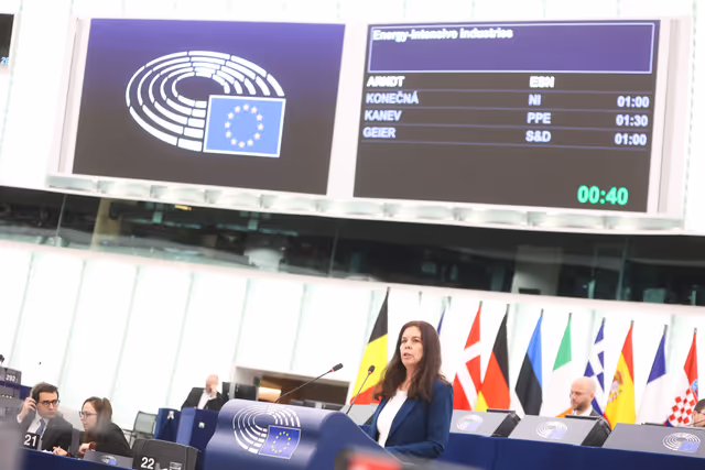 Снимка 37: EP Plenary session - Energy-intensive industries