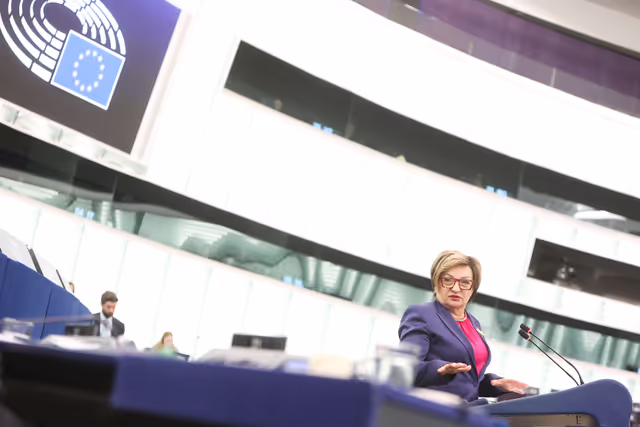 Снимка 29: EP Plenary session - Energy-intensive industries