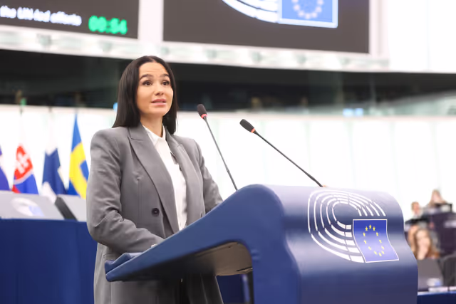 Снимка 11: EP Plenary session - Energy-intensive industries