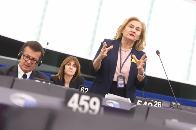 Снимка 7: EP Plenary session - Energy-intensive industries