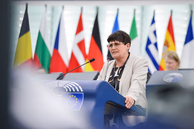 Fotografie 15: EP Plenary session - Outcome of the recent COP16 biodiversity negotiations in Rome