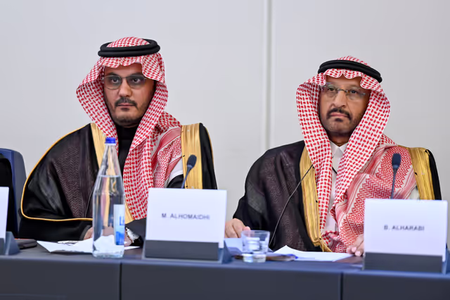 Zdjęcie 29: EU-Saudi Arabia Interparliamentary meeting