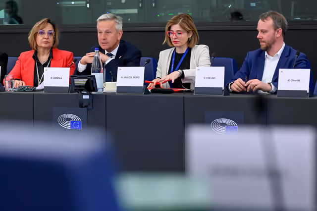 Zdjęcie 33: EU-Saudi Arabia Interparliamentary meeting