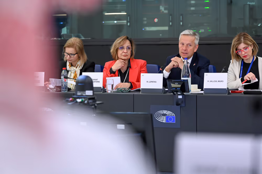 EU-Saudi Arabia Interparliamentary meeting