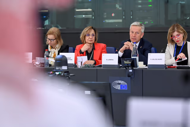 Zdjęcie 31: EU-Saudi Arabia Interparliamentary meeting