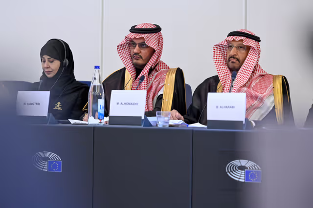 Zdjęcie 30: EU-Saudi Arabia Interparliamentary meeting