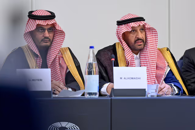 Zdjęcie 23: EU-Saudi Arabia Interparliamentary meeting