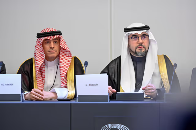 Zdjęcie 24: EU-Saudi Arabia Interparliamentary meeting