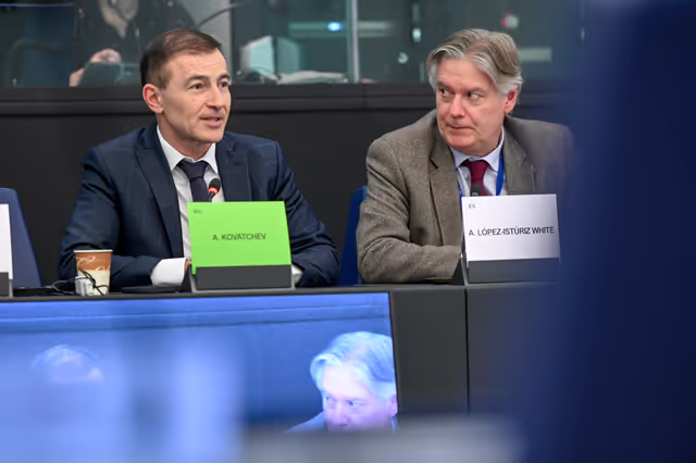 Zdjęcie 12: EU-Saudi Arabia Interparliamentary meeting