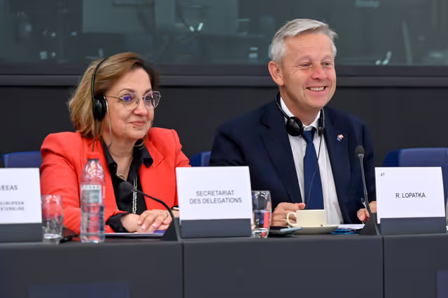 Zdjęcie 10: EU-Saudi Arabia Interparliamentary meeting