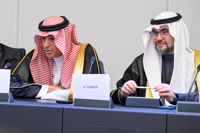 Zdjęcie 8: EU-Saudi Arabia Interparliamentary meeting