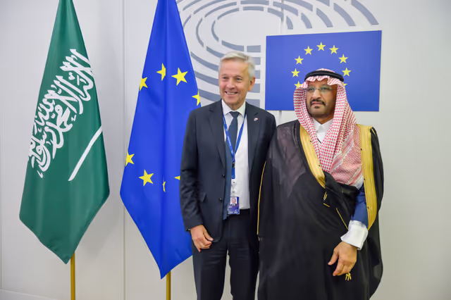 Zdjęcie 37: EU-Saudi Arabia Interparliamentary meeting