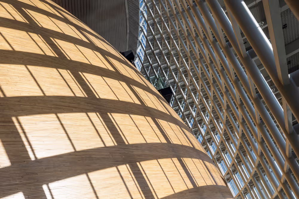 Strasbourg's Plenary session through the lens - Week 14