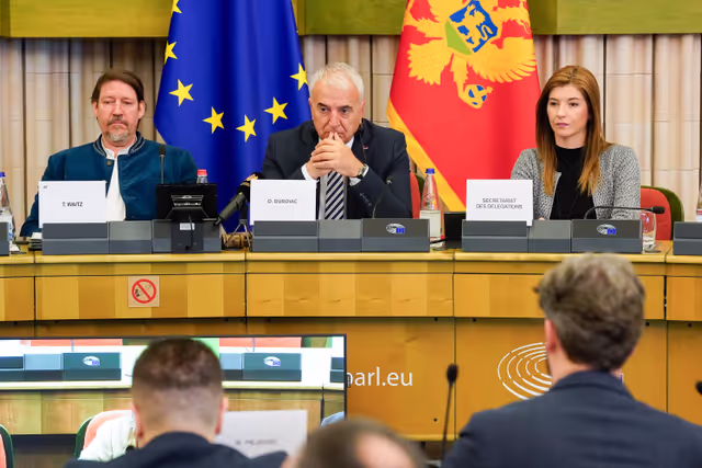 Fotografija 13: 23rd EU-Montenegro SAPC meeting