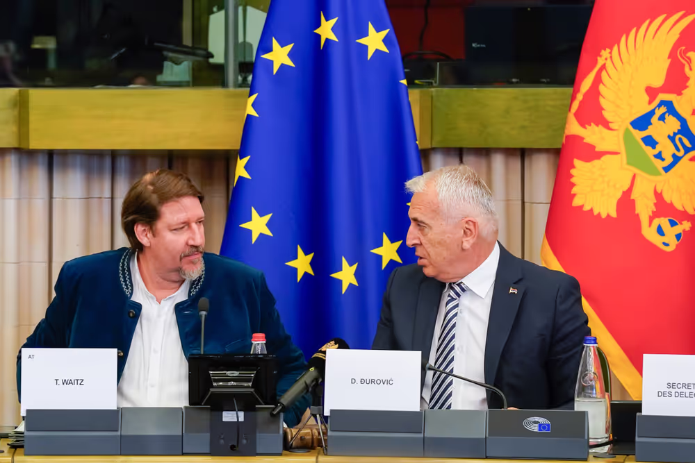 23rd EU-Montenegro SAPC meeting