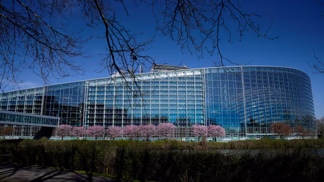 Foto 17: Strasbourg's Plenary session through the lens - Week 14