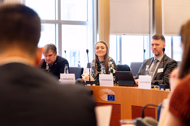 Φωτογραφία 19: 15th EU-Iceland SAPC