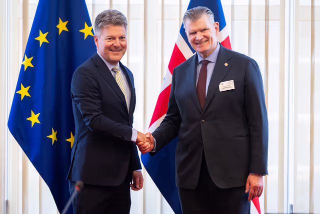 Φωτογραφία 23: 15th EU-Iceland SAPC