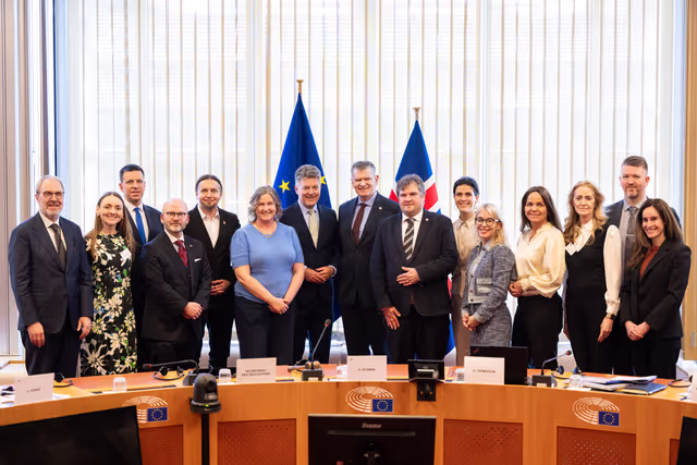 15th EU-Iceland SAPC