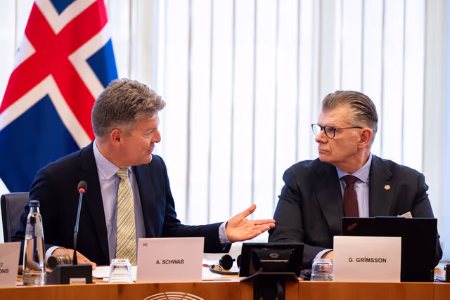 Φωτογραφία 20: 15th EU-Iceland SAPC