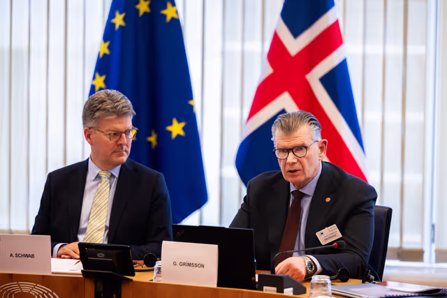 Φωτογραφία 9: 15th EU-Iceland SAPC