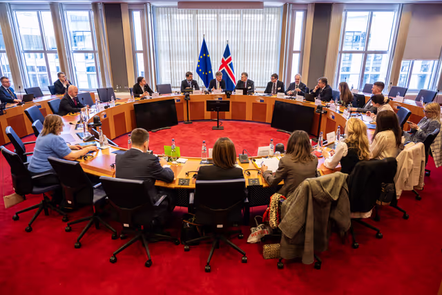 Φωτογραφία 21: 15th EU-Iceland SAPC